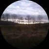 ardisbythelake
